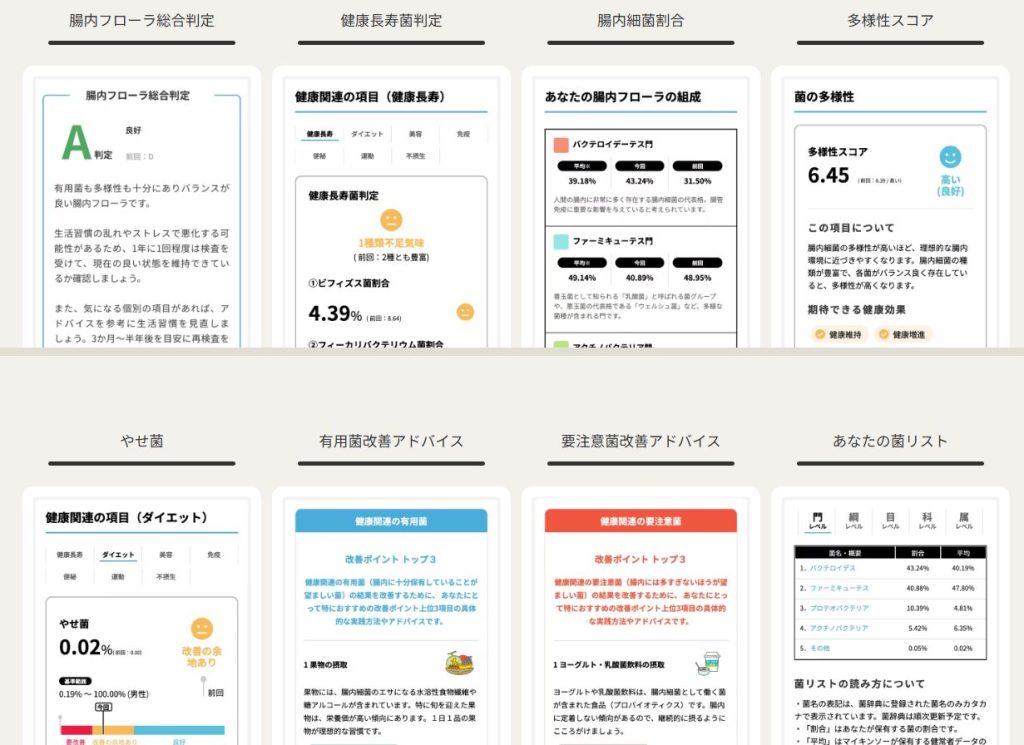 腸内フローラ検査マイキンソー（Mykinso）の詳細な検査結果レポートサンプル