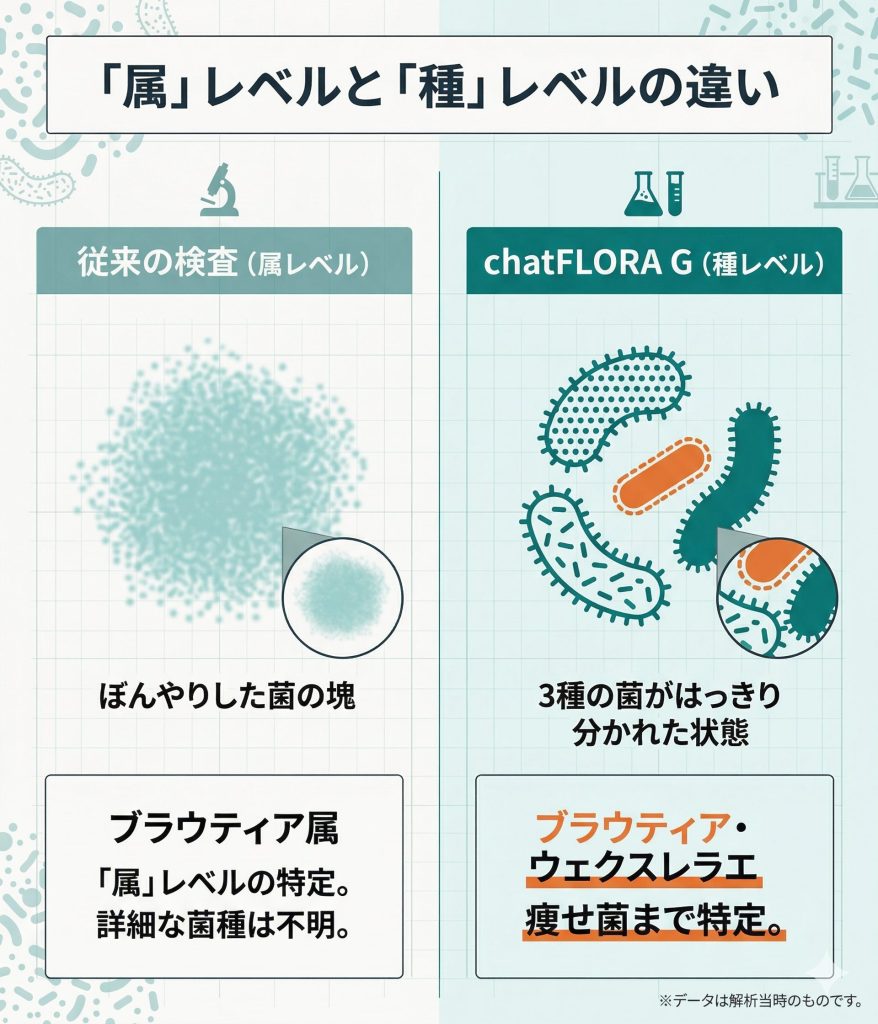 腸内細菌の「属レベル」と「種レベル」の解析精度の違いを図解。chatFLORA Gは特定の菌まで判別可能。