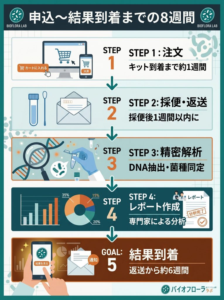 マイフローラ カルピス版の検査フロー。注文から返送、解析、レポート到着まで合計約8週間の流れを解説。