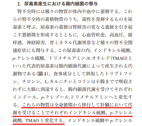 日本腎臓学会誌が解説する、腸内細菌からインドキシル硫酸が生成される経路の学術根拠